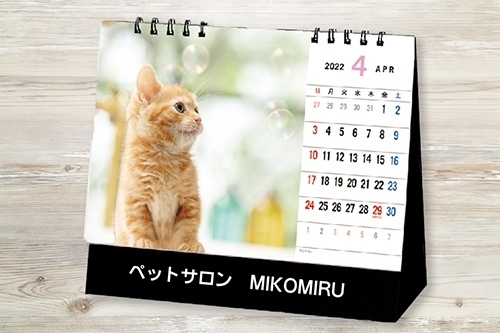 写真入りカレンダーのイメージ